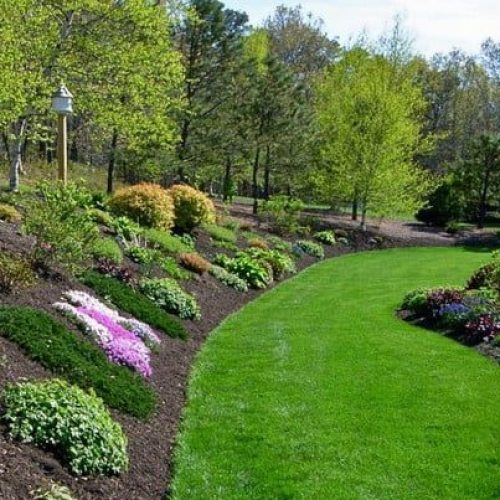 landscape-hill-plants-e1639162640192 landscape-hill-plants-e1639162640192